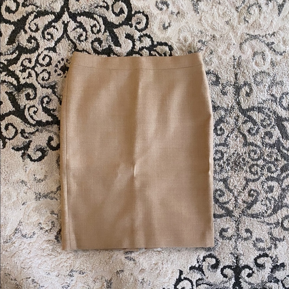 JCREW Skirt